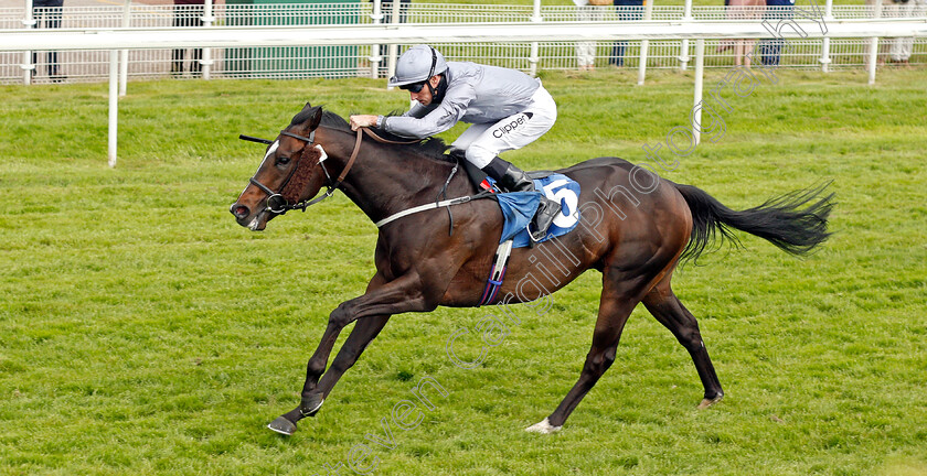 Space-Traveller-0005 
 SPACE TRAVELLER (Daniel Tudhope) wins The Sky Bet Ganton Stakes
York 11 Jun 2021 - Pic Steven Cargill / Racingfotos.com