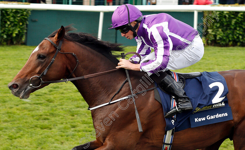 Kew-Gardens-0010 
 KEW GARDENS (Ryan Moore) wins The William Hill St Leger
Doncaster 15 Sep 2018 - Pic Steven Cargill / Racingfotos.com