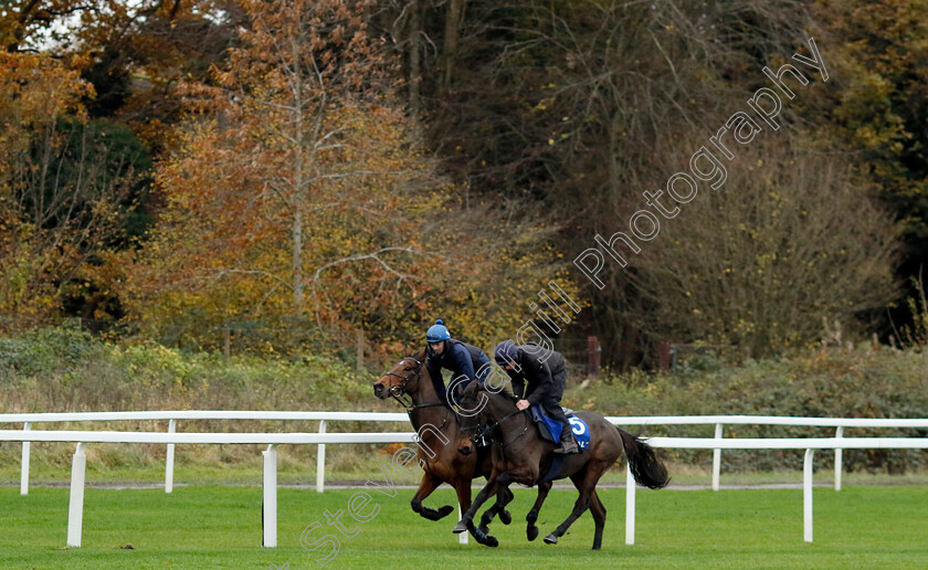 Monbeg-Genius-and-Iron-Bridge-0001 
 MONBEG GENIUS (right, Derek O'Connor) with IRON BRIDGE (left, Kevin Brogan)
Coral Gold Cup Gallops Morning
Newbury 21 Nov 2023 - Pic Steven Cargill / Racingfotos.com