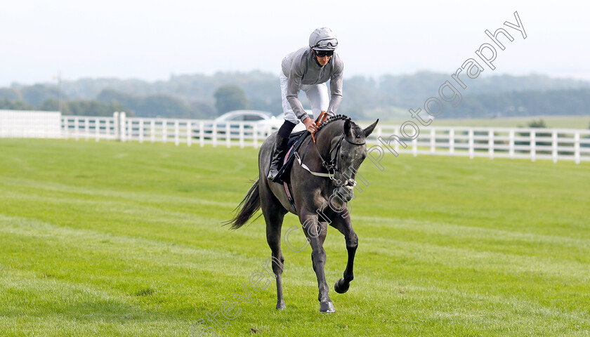 Fallen-Angel-0013 
 FALLEN ANGEL (Daniel Tudhope) winner of The Moyglare Stud Stakes
The Curragh 10 Sep 2023 - Pic Steven Cargill / Racingfotos.com