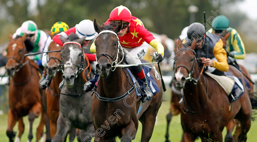 Son-Of-Man-0004 
 SON OF MAN (David Egan) wins The British Stallion Studs EBF Novice Stakes Div1
Yarmouth 19 Sep 2023 - Pic Steven Cargill / Racingfotos.com