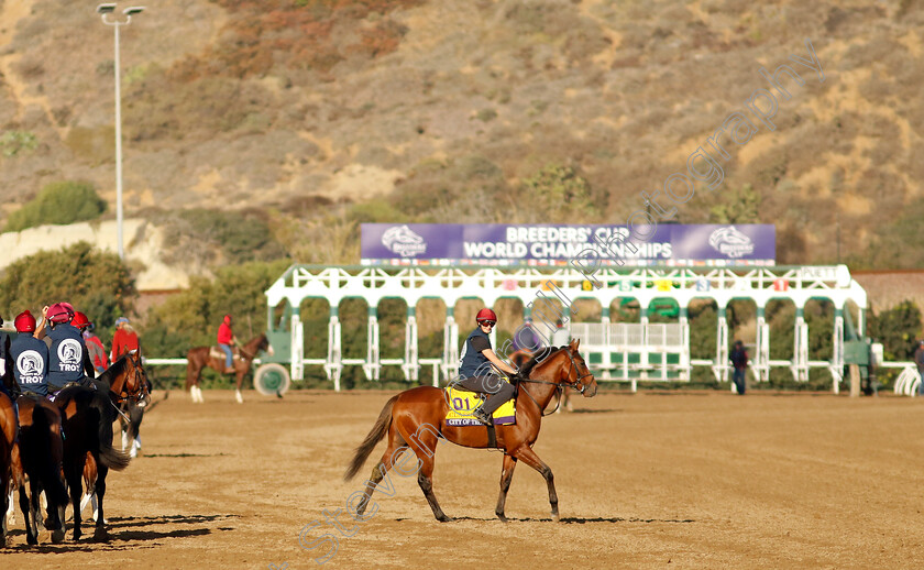 City-Of-Troy-0001 
 CITY OF TROY (Rachel Richardson) training for the Breeders' Cup Classic
Del Mar USA 31 Oct 2024 - Pic Steven Cargill / Racingfotos.com