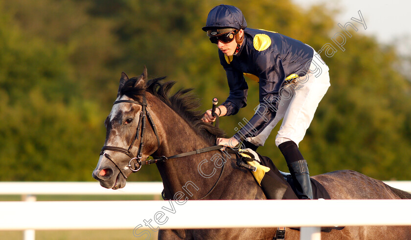 Ghaziyah-0001 
 GHAZIYAH (James Doyle) before The Budweiser Brewing Group Novice Stakes Div2
Chelmsford 23 Jul 2019 - Pic Steven Cargill / Racingfotos.com