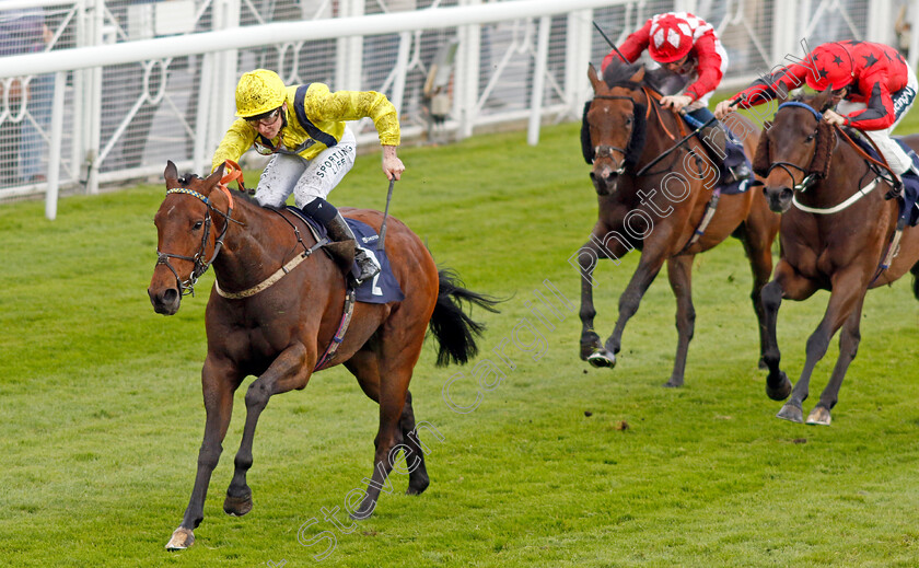 Hodler-0002 
 HODLER (Ryan Sexton) wins The Everyone's Turf Handicap
Chester 10 May 2023 - Pic Steven Cargill / Racingfotos.com