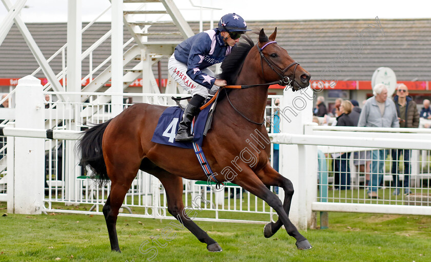 Another-Abbot-0001 
 ANOTHER ABBOT (Tom Marquand)
Yarmouth 22 Oct 2024 - Pic Steven Cargill / Racingfotos.com