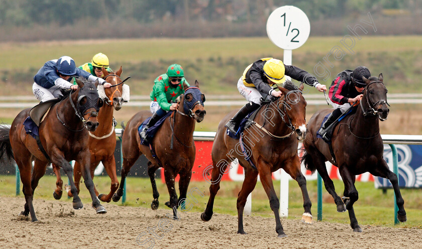 Diligent-Lady-0003 
 DILIGENT LADY (2nd right, Rossa Ryan) beats ONE HART (right) and STRONG POWER (left) in The Betway Handicap
Lingfield 6 Feb 2021 - Pic Steven Cargill / Racingfotos.com