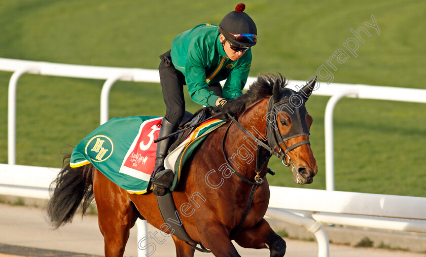 Iron-Barows-0001 
 IRON BAROWS training for The Red Sea Turf Handicap
King Abdulaziz Racecourse, Saudi Arabia 20 Feb 2024 - Pic Steven Cargill / Racingfotos.com