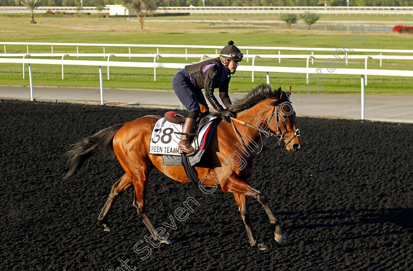 Green-Team-0002 
 GREEN TEAM training at the Dubai World Cup Carnival
Meydan 5 Jan 2023 - Pic Steven Cargill / Racingfotos.com