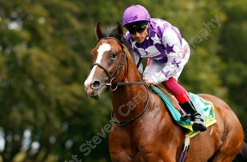 Maxi-Boy-0001 
 MAXI BOY (Frankie Dettori)
Newmarket 13 Jul 2019 - Pic Steven Cargill / Racingfotos.com