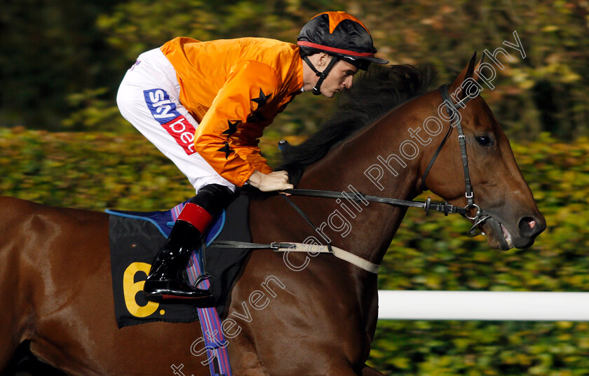 Dougan-0001 
 DOUGAN (Fran Berry) Kempton 11 Oct 2017 - Pic Steven Cargill / Racingfotos.com