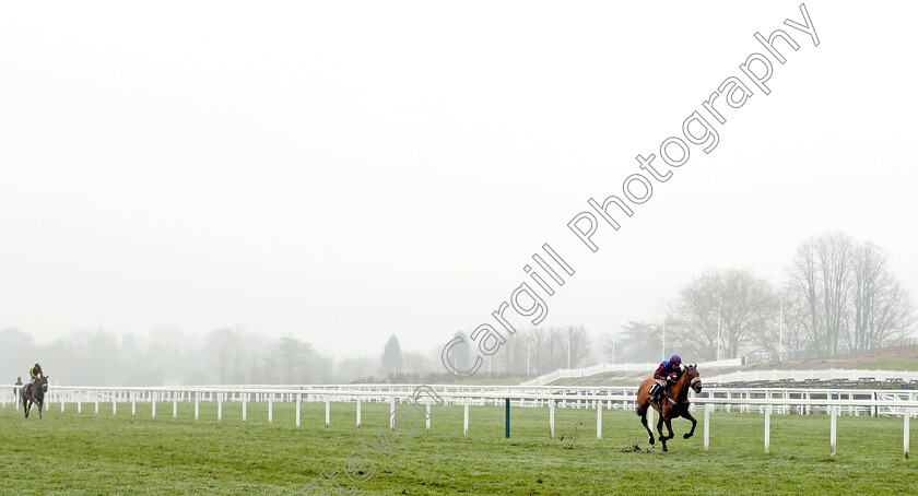 La-Bague-Au-Roi-0003 
 LA BAGUE AU ROI (Noel Fehily) wins The OLBG.com Mares Hurdle Ascot 20 Jan 2018 - Pic Steven Cargill / Racingfotos.com