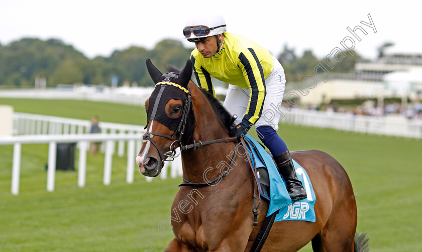 Burdett-Road-0001 
 BURDETT ROAD (Silvestre De Sousa)
Ascot 26 Jul 2024 - Pic Steven Cargill / Racingfotos.com