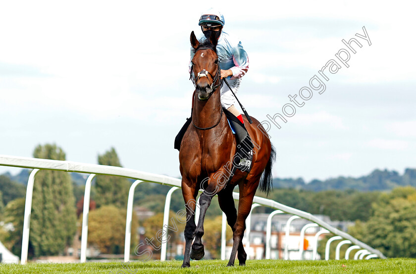 Stylistique-0001 
 STYLISTIQUE (Andrea Atzeni)
Sandown 23 Aug 2020 - Pic Steven Cargill / Racingfotos.com