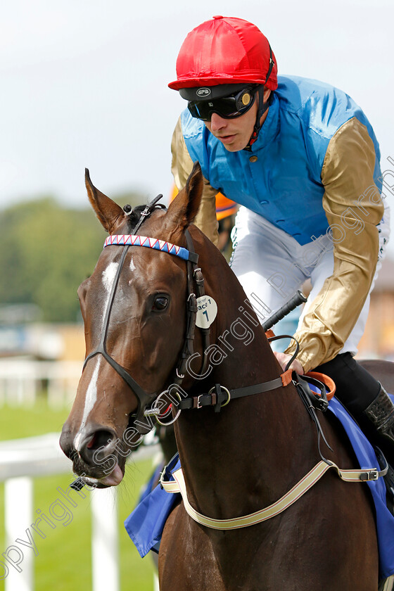 Leovanni-0001 
 LEOVANNI (James Doyle)
York 22 Aug 2024 - pic Steven Cargill / Racingfotos.com