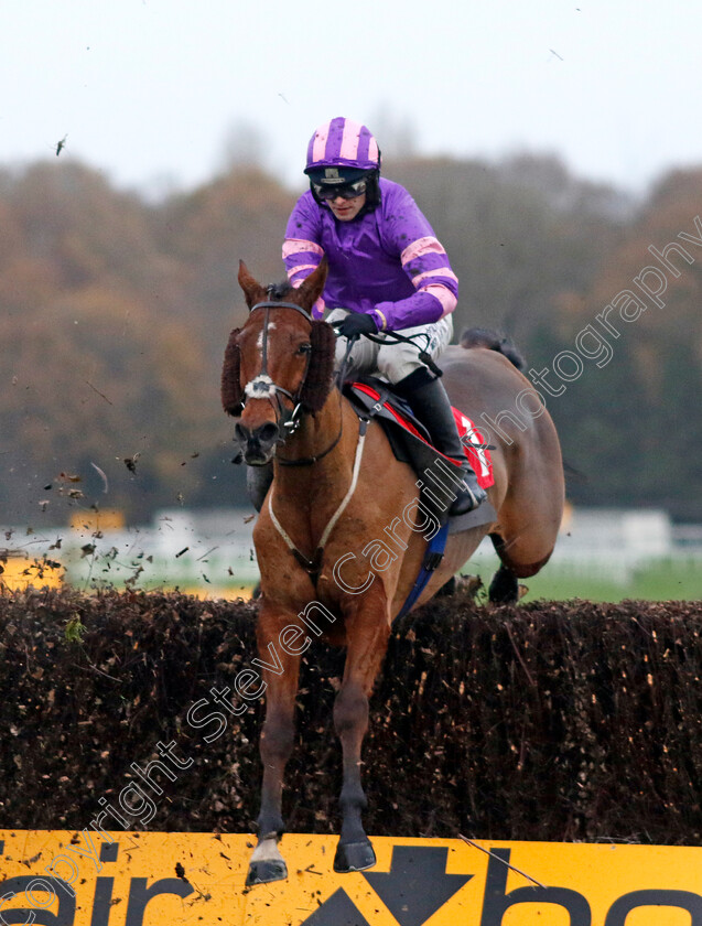 Collectors-Item-0001 
 COLLECTORS ITEM (Jonjo O'Neill)
Sandown 8 Dec 2023 - Pic Steven Cargill / Racingfotos.com