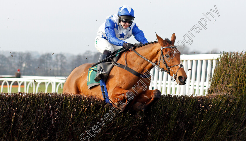 Annie-Mc-0006 
 ANNIE MC (Jonjo O'Neill Jr) wins The tote Placepot First Bet Of The Day EBF Mares Novices Chase
Bangor-On-Dee 7 Feb 2020 - Pic Steven Cargill / Racingfotos.com