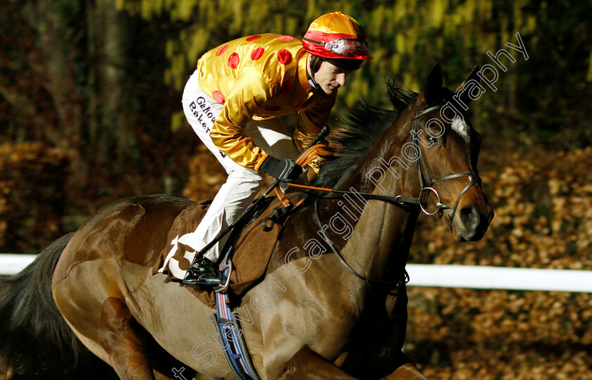 Wan-Chai-0001 
 WAN CHAI (Richard Kingscote)
Kempton 16 Jan 2019 - Pic Steven Cargill / Racingfotos.com