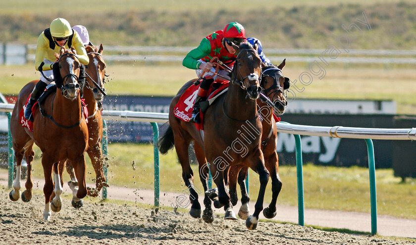 Diligent-Harry-0006 
 DILIGENT HARRY (Adam Kirby) wins The Ladbrokes 3 Year Old All-Weather Championships Conditions Stakes
Lingfield 2 Apr 2021 - Pic Steven Cargill / Racingfotos.com