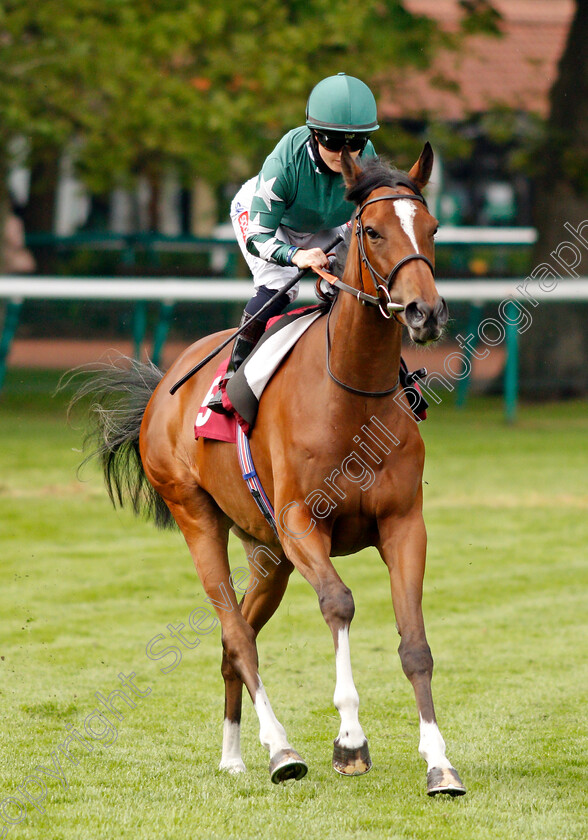 Nushafreen-0001 
 NUSHAFREEN (Hollie Doyle)
Haydock 28 May 2021 - Pic Steven Cargill / Racingfotos.com