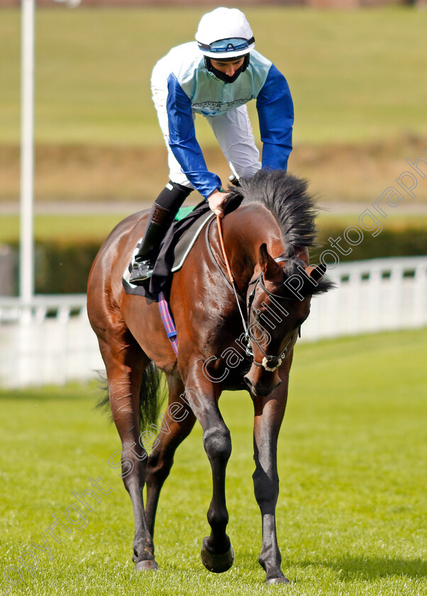 The-Cincinnati-Kid-0001 
 THE CINCINNATI KID (Rossa Ryan)
Goodwood 28 Aug 2020 - Pic Steven Cargill / Racingfotos.com