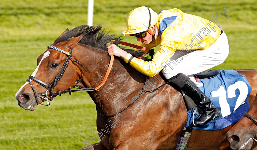 Reverend-Jacobs-0005 
 REVEREND JACOBS (James Doyle) wins The Oaks Farm Stables Handicap York 16 May 2018 - Pic Steven Cargill / Racingfotos.com