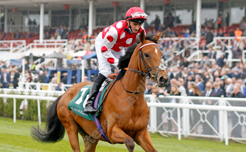 Wynter-Wildes 
 WYNTER WILDES (Daniel Tudhope)
Chester 4 May 2022 - Pic Steven Cargill / Racingfotos.com