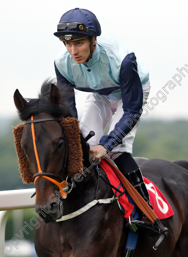 Eardley-Road-0002 
 EARDLEY ROAD (Hector Crouch)
Sandown 30 May 2019 - Pic Steven Cargill / Racingfotos.com