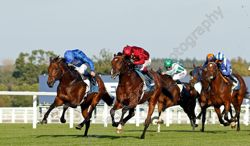 Middle-Earth-0006 
 MIDDLE EARTH (right, Oisin Murphy) beats CHESSPIECE (left) in The Troy Asset Management Noel Murless Stakes
Ascot 6 Oct 2023 - Pic Steven Cargill / Racingfotos.com