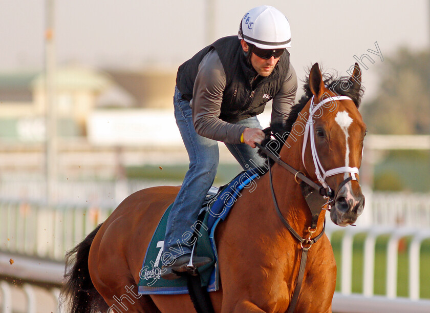 Mandaloun-0006 
 MANDALOUN training for the Saudi Cup
King Abdulaziz Racetrack, Riyadh, Saudi Arabia 24 Feb 2022 - Pic Steven Cargill / Racingfotos.com