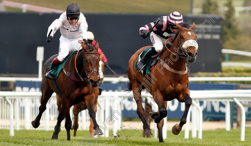 Kupatana-0003 
 KUPATANA (Harry Cobden) beats LITTLE MISS POET (left) in The EBF Thoroughbred Breeders Association Mares Novices Handicap Chase Series Final
Cheltenham 18 Apr 2019 - Pic Steven Cargill / Racingfotos.com