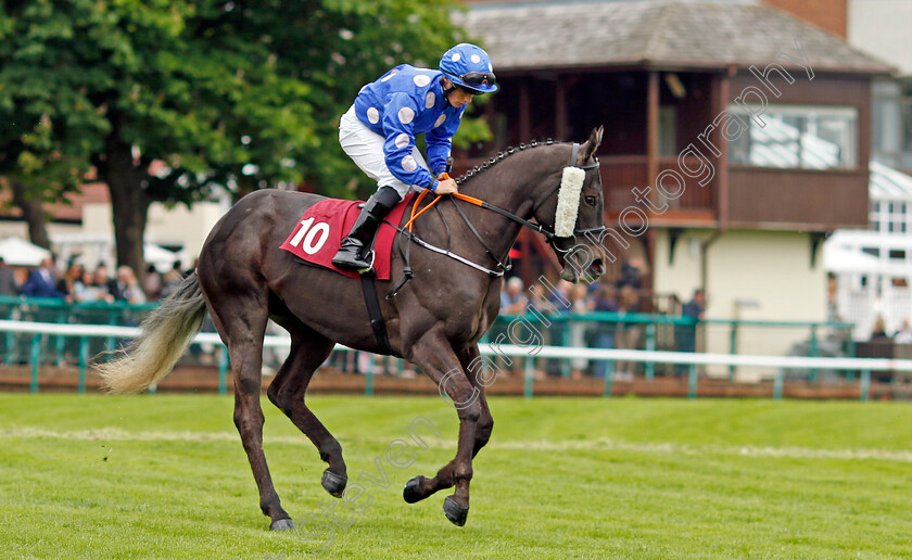 Mister-Wilson 
 MISTER WILSON (Aidan Keeley)
Haydock 21 May 2022 - Pic Steven Cargill / Racingfotos.com