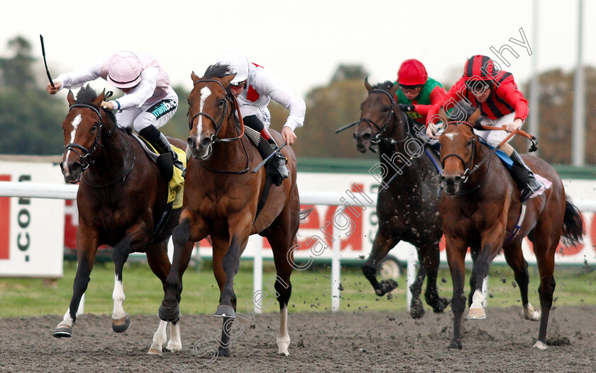 King s-Slipper-0003 
 KING'S SLIPPER (centre, Adam Kirby) beats CROQUE MONSIEUR (left) and QUALITY SEEKER (right) in The 32red.com Handicap
Kempton 29 Aug 2018 - Pic Steven Cargill / Racingfotos.com