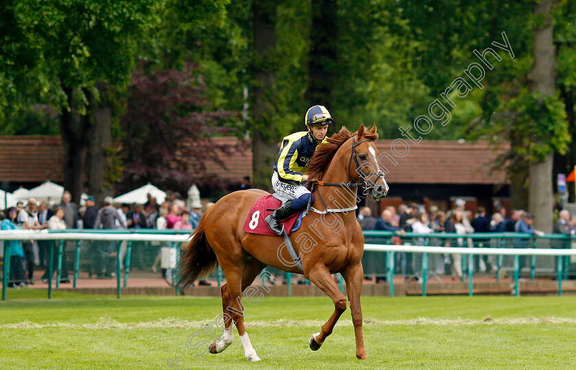 Whoputfiftyinyou-0002 
 WHOPUTFIFTYINYOU (David Probert) winner of The Cazoo Silver Bowl Handicap
Haydock 21 May 2022 - Pic Steven Cargill / Racingfotos.com