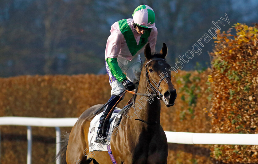 Arabian-Leopard-0001 
 ARABIAN LEOPARD (Daniel Muscutt)
Kempton 4 Dec 2024 - Pic Steven Cargill / Racingfotos.com