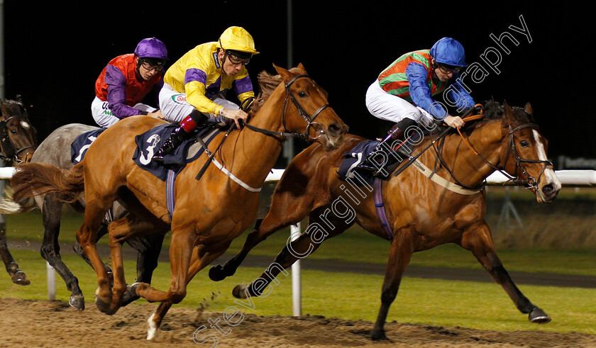 Reasoned-0004 
 REASONED (left, Shane Kelly) beats PENARTH PIER (right) in The Bombardier March To Your Own Drum Handicap
Wolverhampton 19 Dec 2019 - Pic Steven Cargill / Racingfotos.com