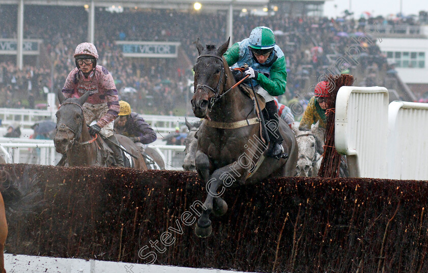 Double-Treasure-0001 
 DOUBLE TREASURE (Gavin Sheehan) Cheltenham 18 Nov 2017 - Pic Steven Cargill / Racingfotos.com