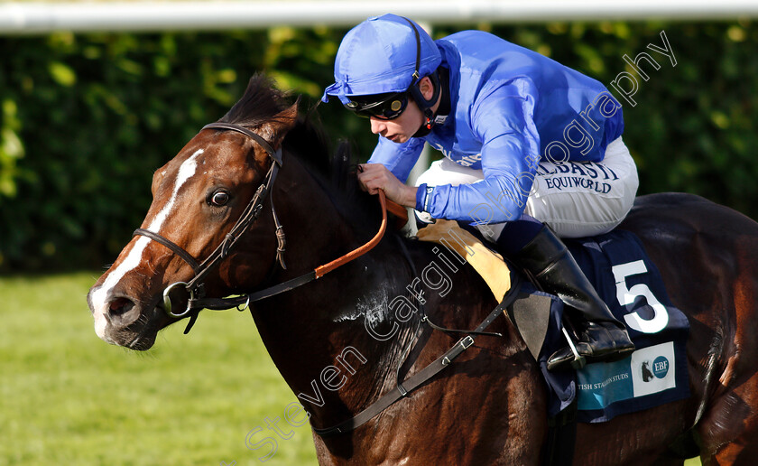 Royal-Marine-0008 
 ROYAL MARINE (Oisin Murphy) wins The Gary Reid Memorial British EBF Maiden Stakes
Doncaster 14 Sep 2018 - Pic Steven Cargill / Racingfotos.com