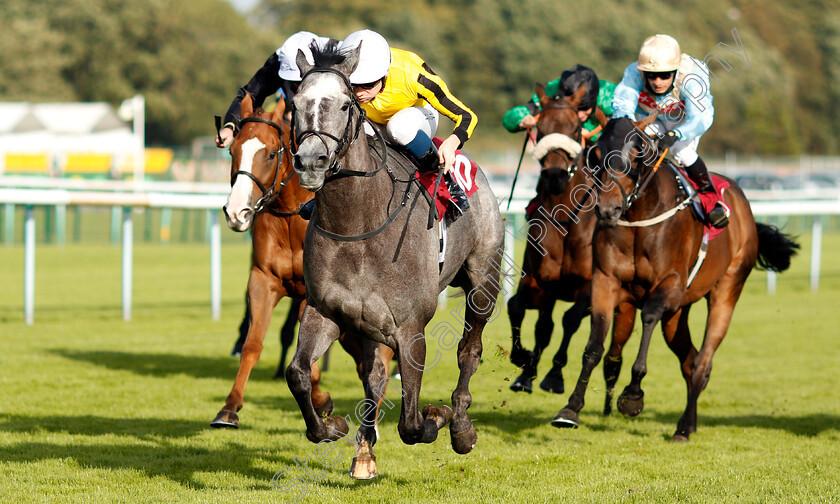 Luncies-0007 
 LUNCIES (Callum Shepherd) wins The Watch Racing On Betfair For Free Handicap
Haydock 4 Sep 2020 - Pic Steven Cargill / Racingfotos.com