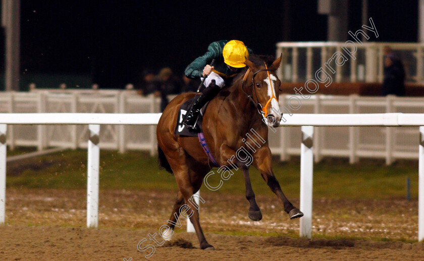 Exhibit-0001 
 EXHIBIT (James Doyle) wins The Bet At totesport.com Fillies Novice Stakes Div1
Chelmsford 25 Nov 2019 - Pic Steven Cargill / Racingfotos.com