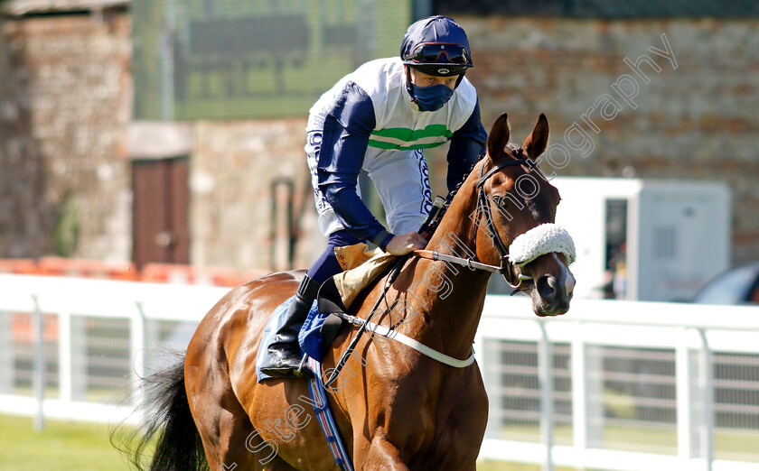 Auriferous-0001 
 AURIFEROUS (David Probert)
Saslisbury 8 Jun 2021 - Pic Steven Cargill / Racingfotos.com