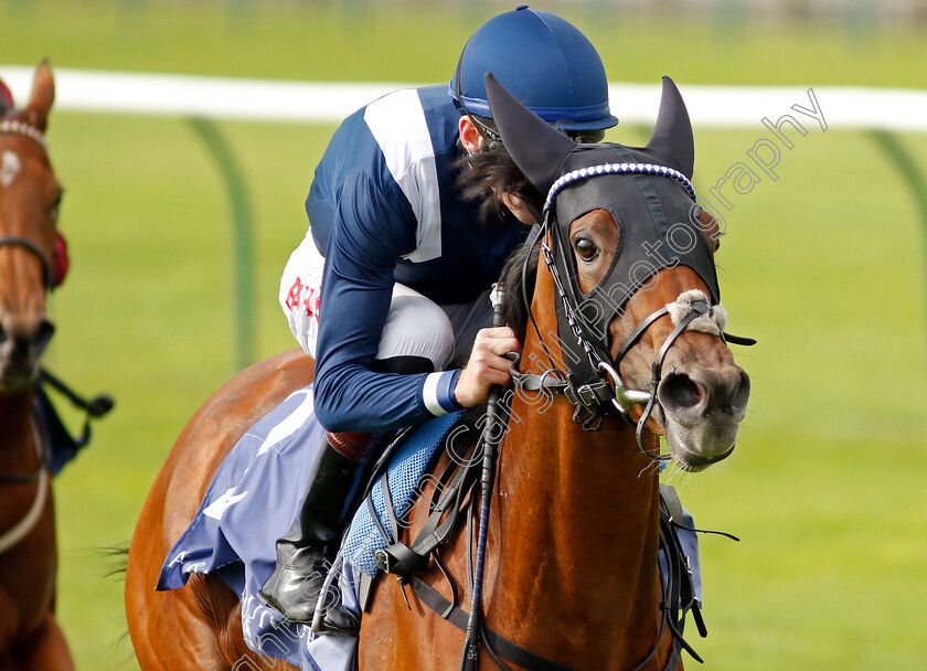 Commissioning-0002 
 COMMISSIONING (Robert Havlin) wins The Al Basti Equiworld Dubai Rockfel Stakes
Newmarket 23 Sep 2022 - Pic Steven Cargill / Racingfotos.com