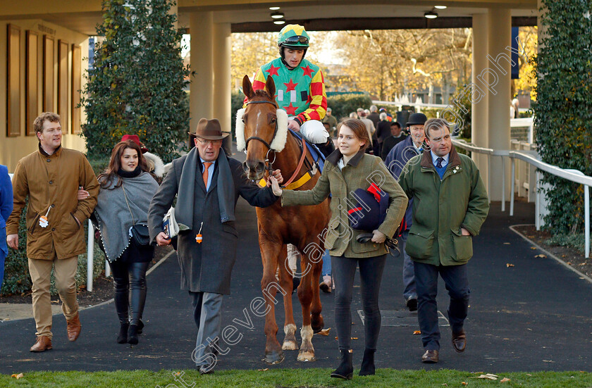 Lil-Rockerfeller-0009 
 LIL ROCKERFELLER (Trevor Whelan) after The Coral Hurdle Ascot 25 Nov 2017 - Pic Steven Cargill / Racingfotos.com