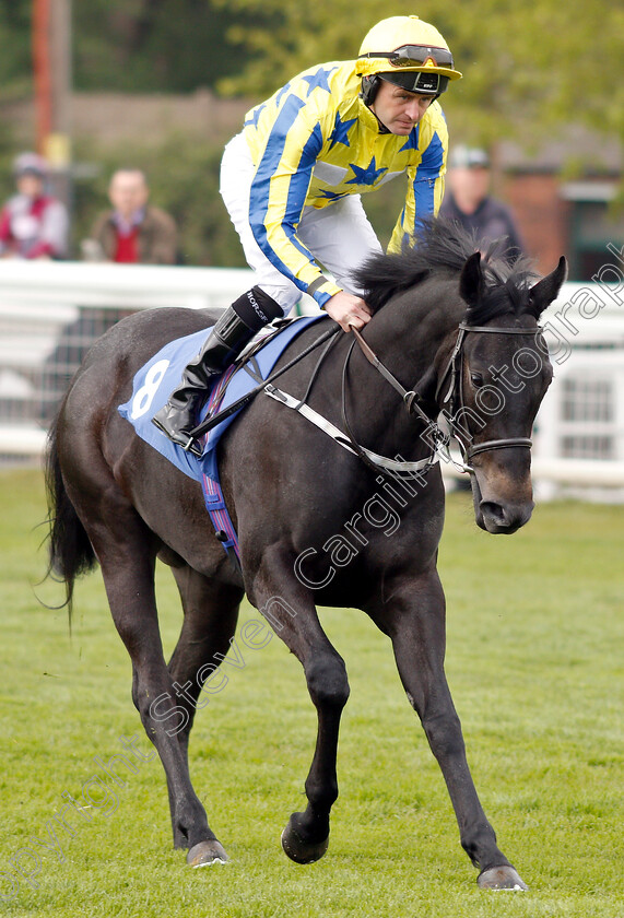 Internationalangel-0001 
 INTERNATIONALANGEL (Tony Hamilton)
Nottingham 30 Apr 2019 - Pic Steven Cargill / Racingfotos.com