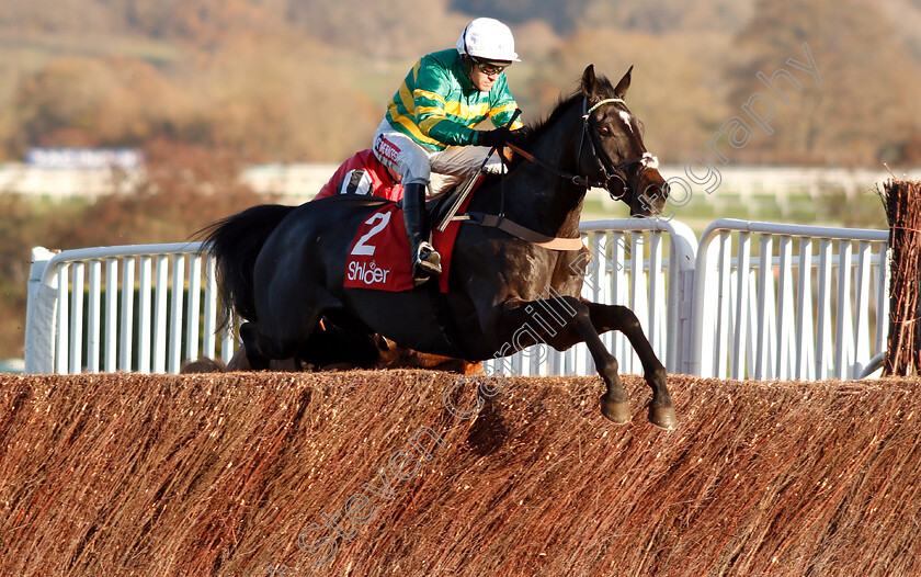 Le-Prezien-0002 
 LE PREZIEN (Barry Geraghty)
Cheltenham 18 Nov 2018 - Pic Steven Cargill / Racingfotos.com