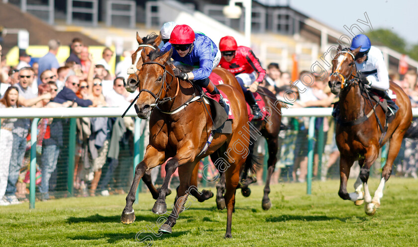 Spirit-Of-Applause-0003 
 SPIRIT OF APPLAUSE (Sean Kirrane) wins The Betfred Double Delight Edge Green Handicap
Haydock 27 May 2023 - pic Steven Cargill / Racingfotos.com