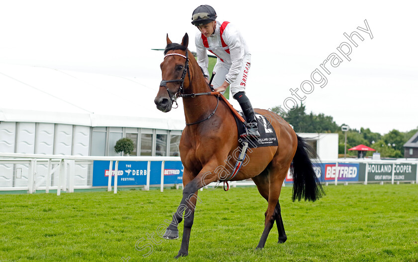 Hamish-0001 
 HAMISH (Tom Marquand)
Epsom 31 May 2024 - Pic Steven Cargill / Racingfotos.com