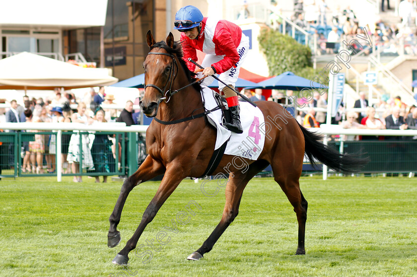 Pilaster-0001 
 PILASTER (Andrea Atzeni)
Doncaster 13 Sep 2018 - Pic Steven Cargill / Racingfotos.com