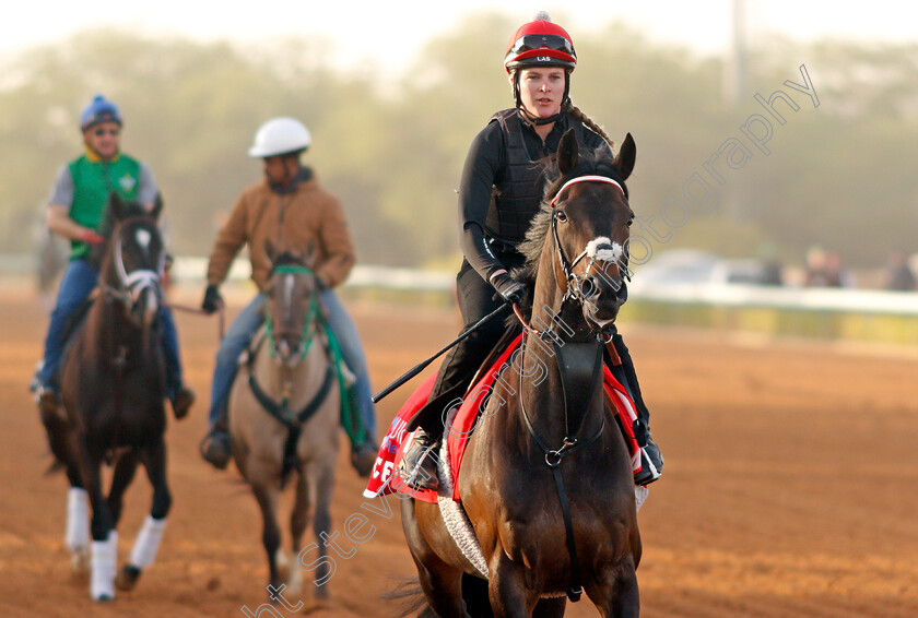 Prince-Of-Arran-0001 
 PRINCE OF ARRAN preparing for the Turf Handicap
Riyadh Racetrack, Kingdom Of Saudi Arabia, 27 Feb 2020 - Pic Steven Cargill / Racingfotos.com