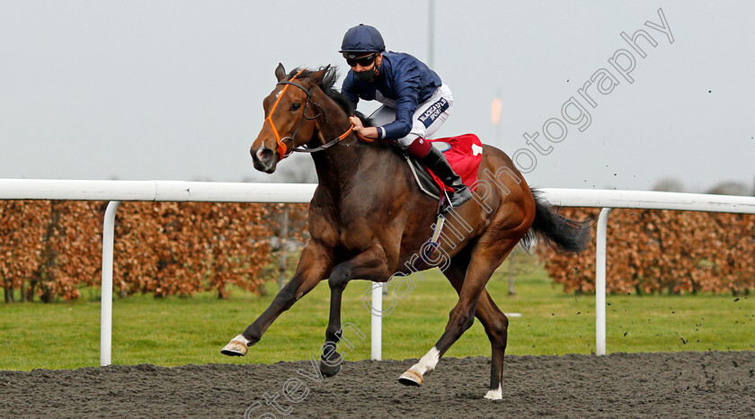 Cuban-Cigar-0003 
 CUBAN CIGAR (Thore Hammer Hansen) wins The Unibet Casino Deposit £10 Get £40 Bonus Handicap Div2
Kempton 31 Mar 2021 - Pic Steven Cargill / Racingfotos.com