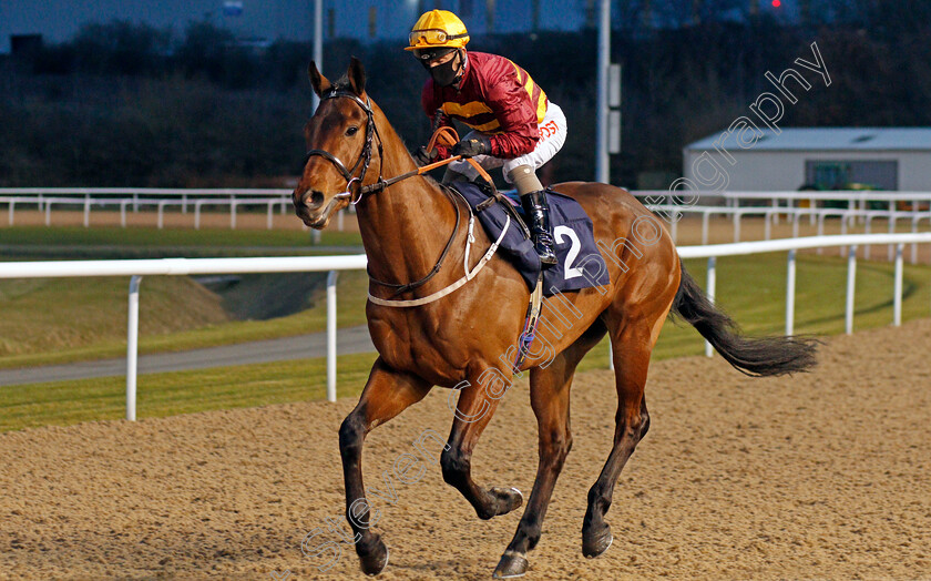 Sea-The-Shells-0001 
 SEA THE SHELLS (Franny Norton) winner of The Get Your Ladbrokes Daily Odds Boost Novice Stakes
Wolverhampton 12 Mar 2021 - Pic Steven Cargill / Racingfotos.com